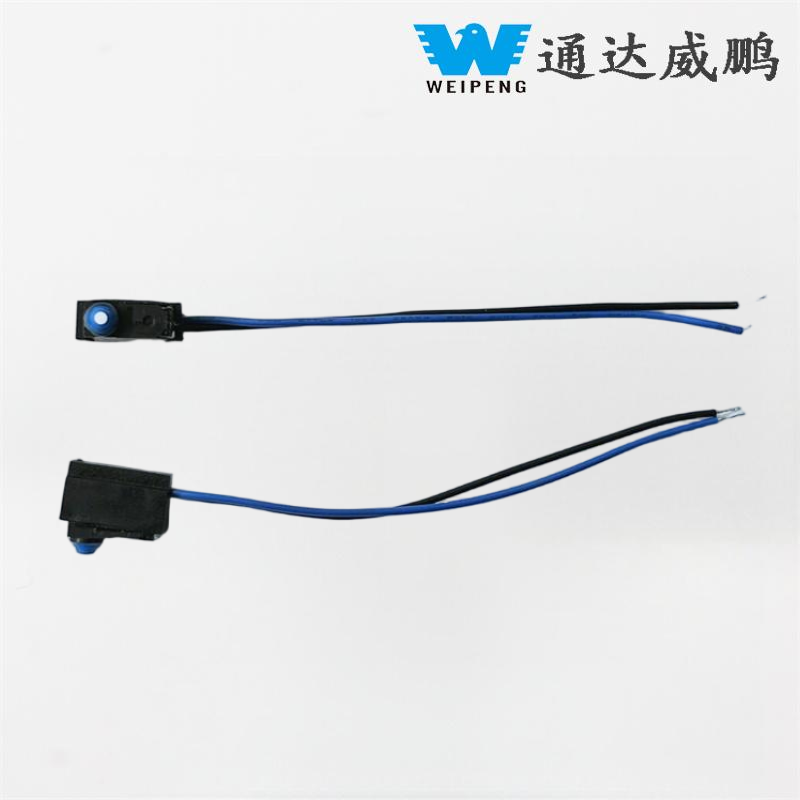 Sandarus IP67 vandeniui atsparus mikrojungiklis