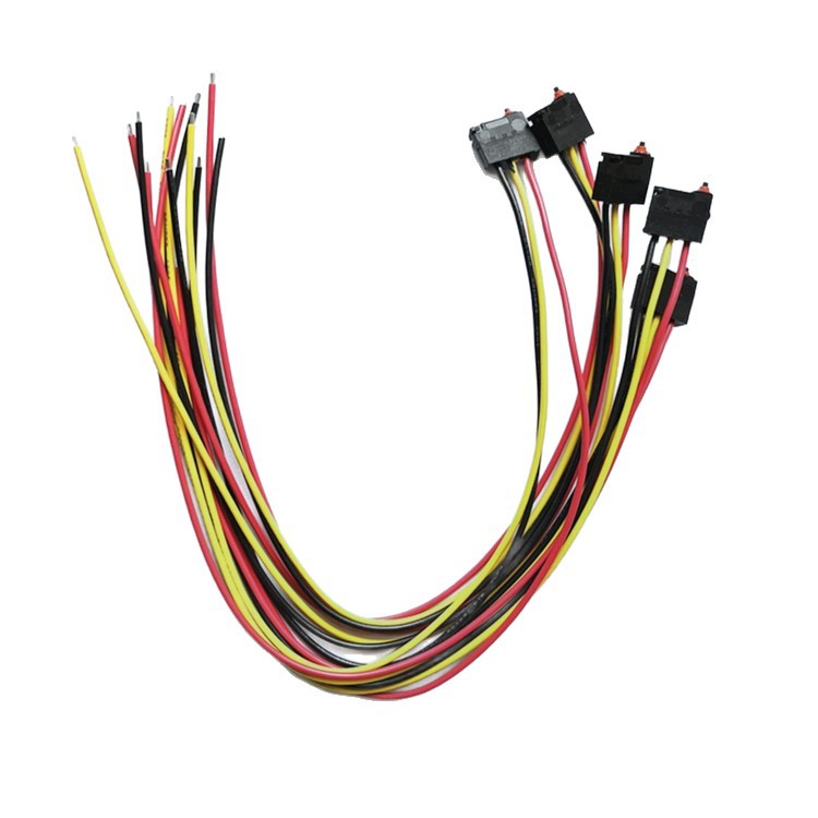 Vandeniui atsparus mikrojungiklis, skirtas trijų šakų laidiniam įkrovimo pistoletui